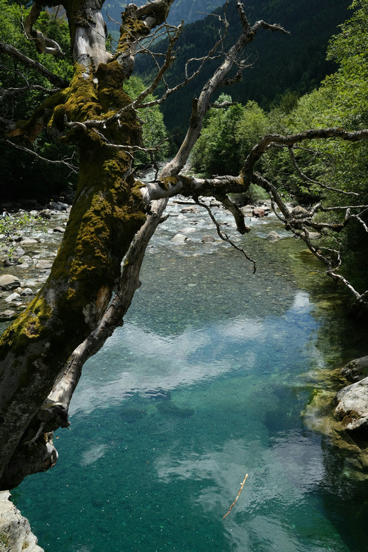 五參數(shù)自動(dòng)監(jiān)測儀 五參數(shù)自動(dòng)監(jiān)測儀